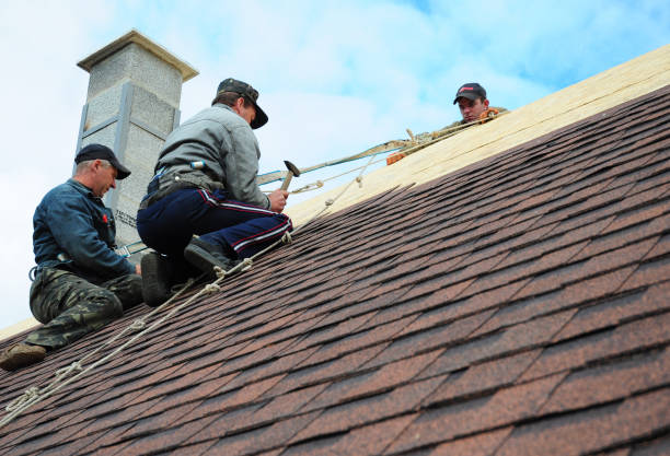 Best New Roof Installation  in Hooks, TX